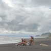 alicia.c555 Altpins Profile Picture