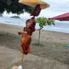 alicia.c555 Altpins Profile Picture