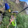 alicia.c555 Altpins Profile Picture