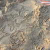 alineborinsky Altpins Profile Picture