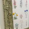 alineborinsky Altpins Profile Picture