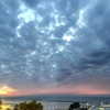 alineborinsky Altpins Profile Picture