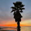 alineborinsky Altpins Profile Picture