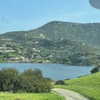 alineborinsky Altpins Profile Picture