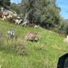 alineborinsky Altpins Profile Picture