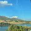 alineborinsky Altpins Profile Picture
