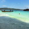 alineborinsky Altpins Profile Picture