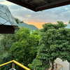 alineborinsky Altpins Profile Picture