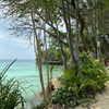 alineborinsky Altpins Profile Picture
