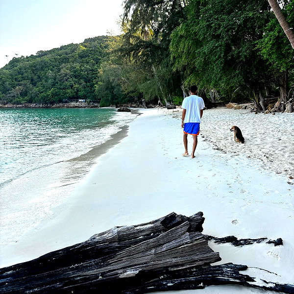 alineborinsky instagram image archive image