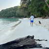 alineborinsky Altpins Profile Picture