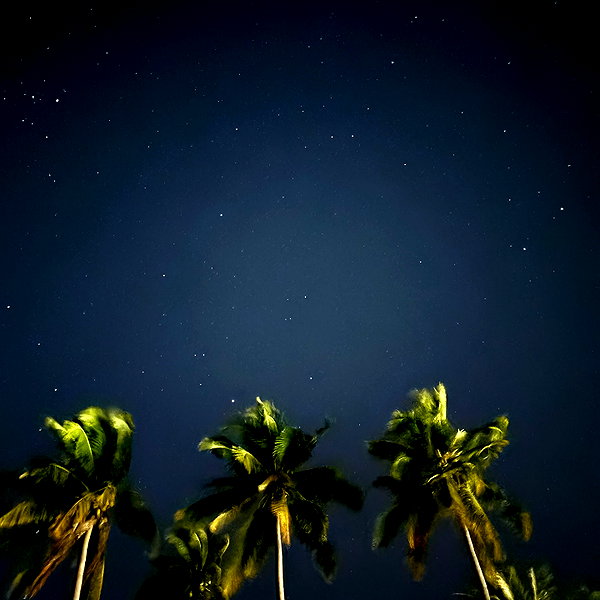 alineborinsky instagram image archive image