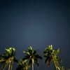 alineborinsky Altpins Profile Picture