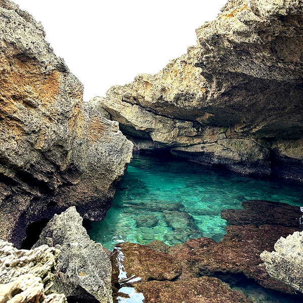 alineborinsky instagram image archive image