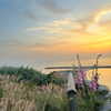 alineborinsky Altpins Profile Picture