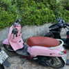 alineborinsky Altpins Profile Picture