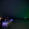 alineborinsky Altpins Profile Picture