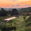 alineborinsky Altpins Profile Picture
