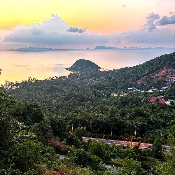 alineborinsky instagram image archive image