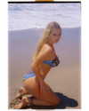 alipentz Altpins Profile Picture