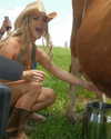 alipentz Altpins Profile Picture