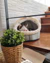 alisapika.pika Altpins Profile Picture