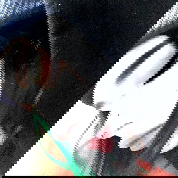 alskohope alskohope archive image