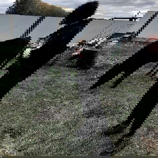 alskohope alskohope archive image