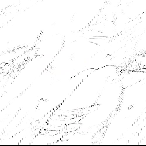 alskohope alskohope archive image