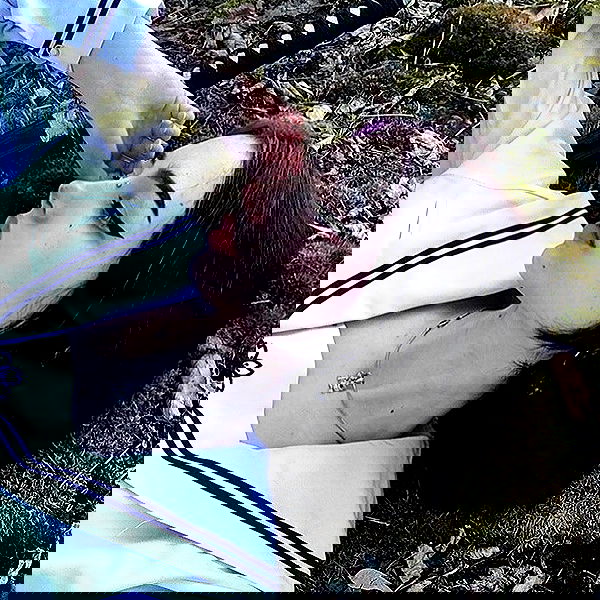 alskohope alskohope archive image