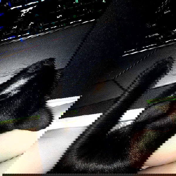 alskohope alskohope archive image