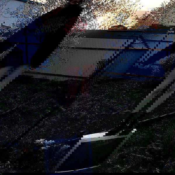 alskohope alskohope archive image