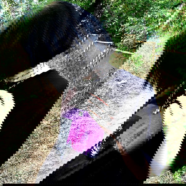 alskohope alskohope archive image