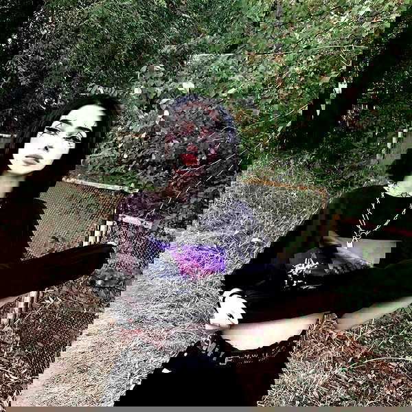 alskohope alskohope archive image