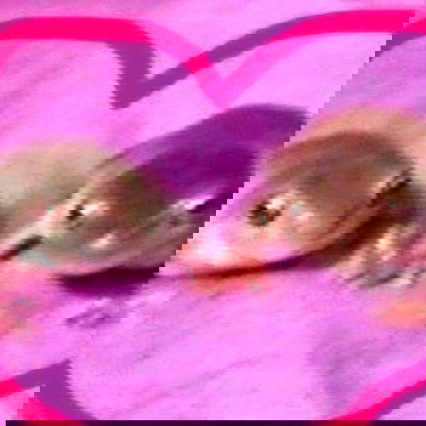 alskohope alskohope archive image