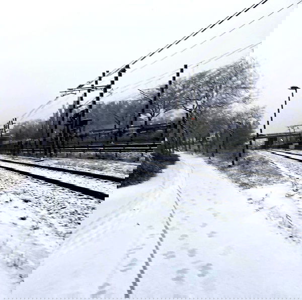 alskohope alskohope archive image