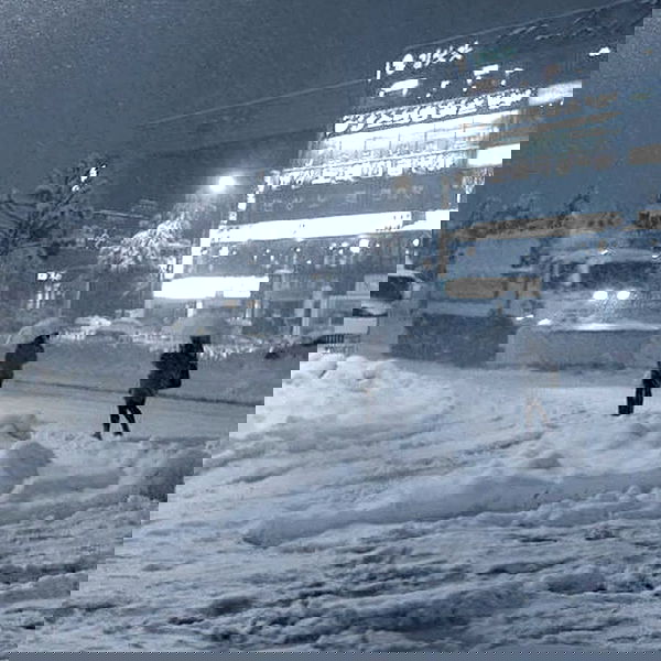 alskohope alskohope archive image