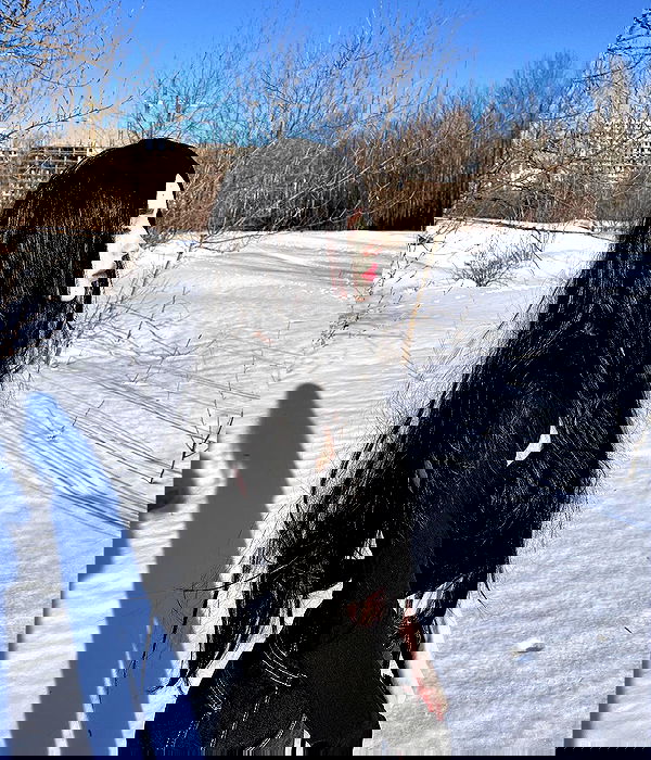 alskohope alskohope archive image