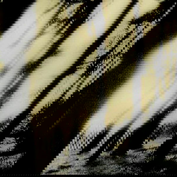 alskohope alskohope archive image