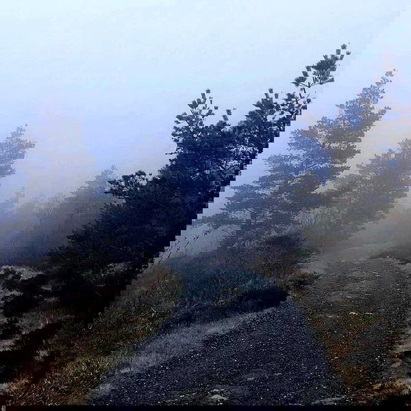 alskohope alskohope archive image