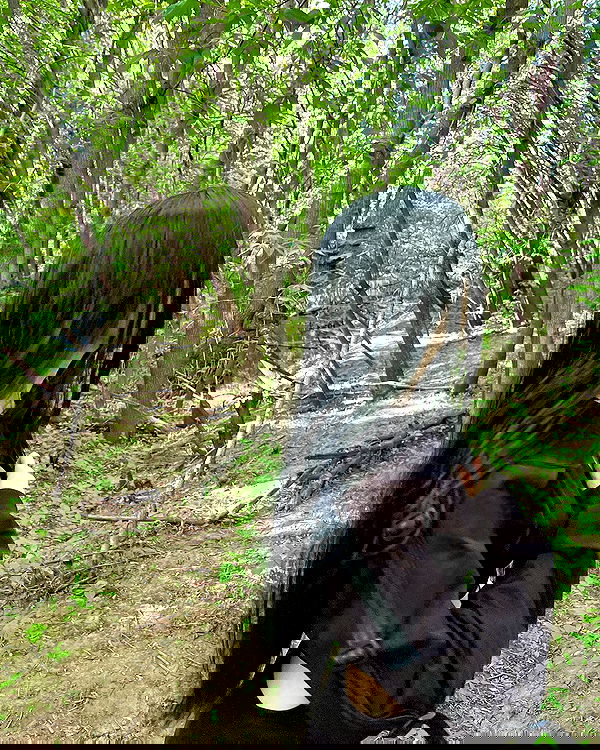 alskohope alskohope archive image