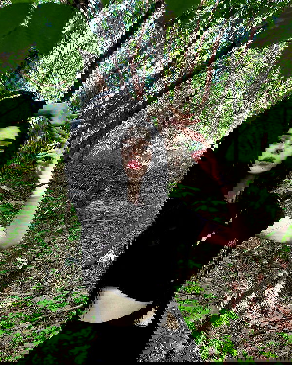 alskohope alskohope archive image