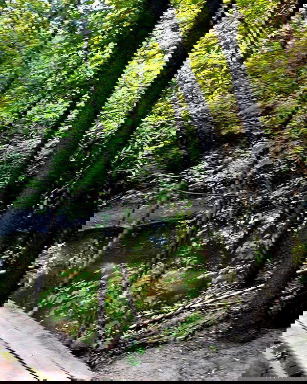 alskohope alskohope archive image