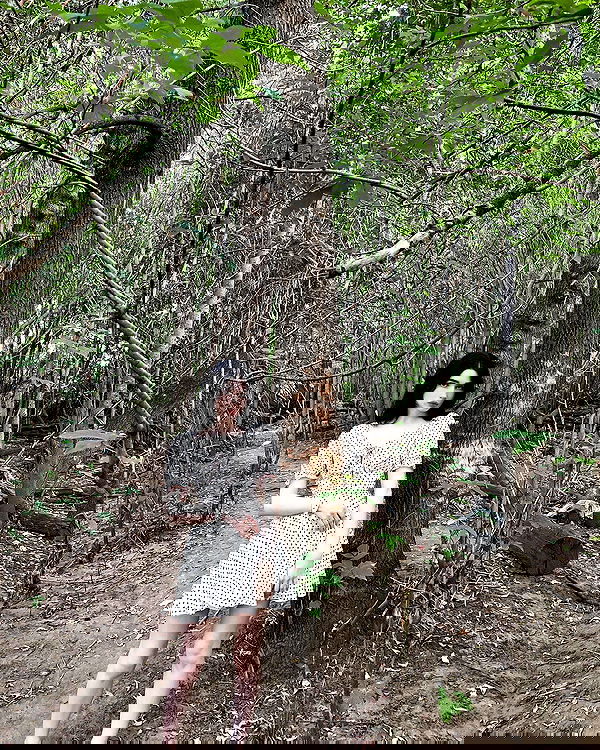 alskohope alskohope archive image