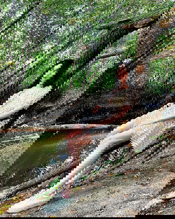 alskohope alskohope archive image