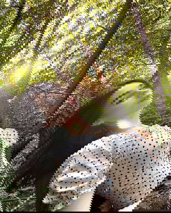 alskohope alskohope archive image