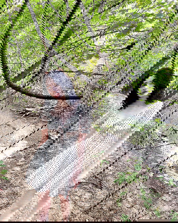 alskohope alskohope archive image