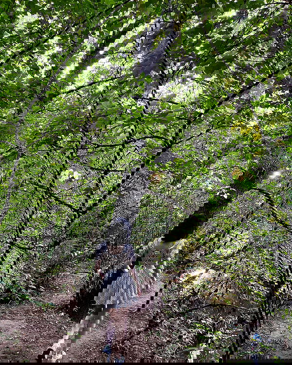 alskohope alskohope archive image