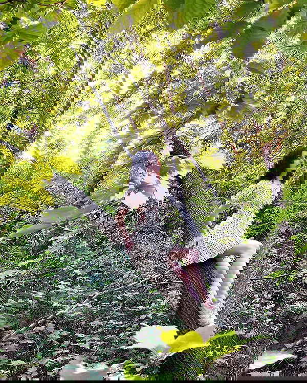 alskohope alskohope archive image