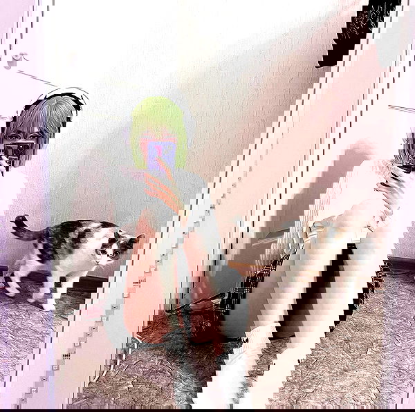 alskohope alskohope archive image